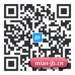 系统版 iOS 二维码